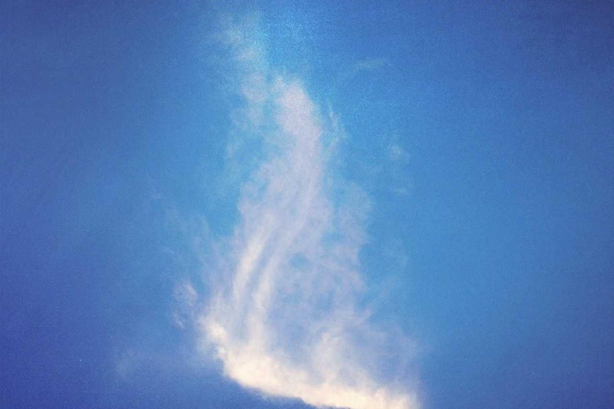 Fluxo de caixa para medicos com varios tomadores